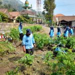 Cegah Tanah Longsor, Mahasiswa KKN Bantu Penanaman Pohon di Desa Wirogomo